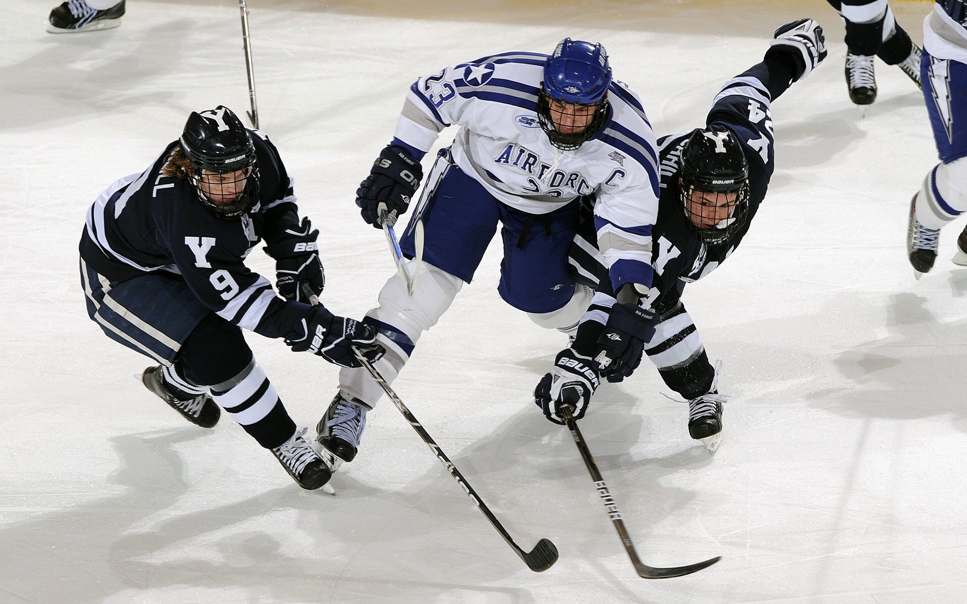 乔·莫伊：凭借强大的体力和防守能力，成为全黑队的核心前锋，乔乔莫伊斯